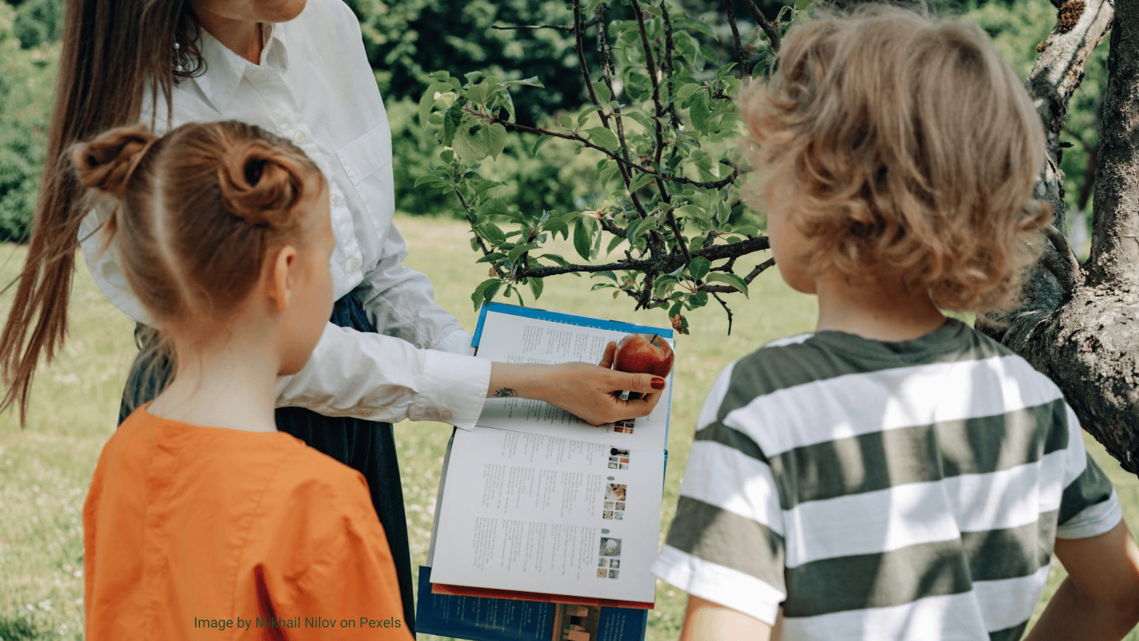 SchoolFood4Change releases policy recommendations for innovation in school meals