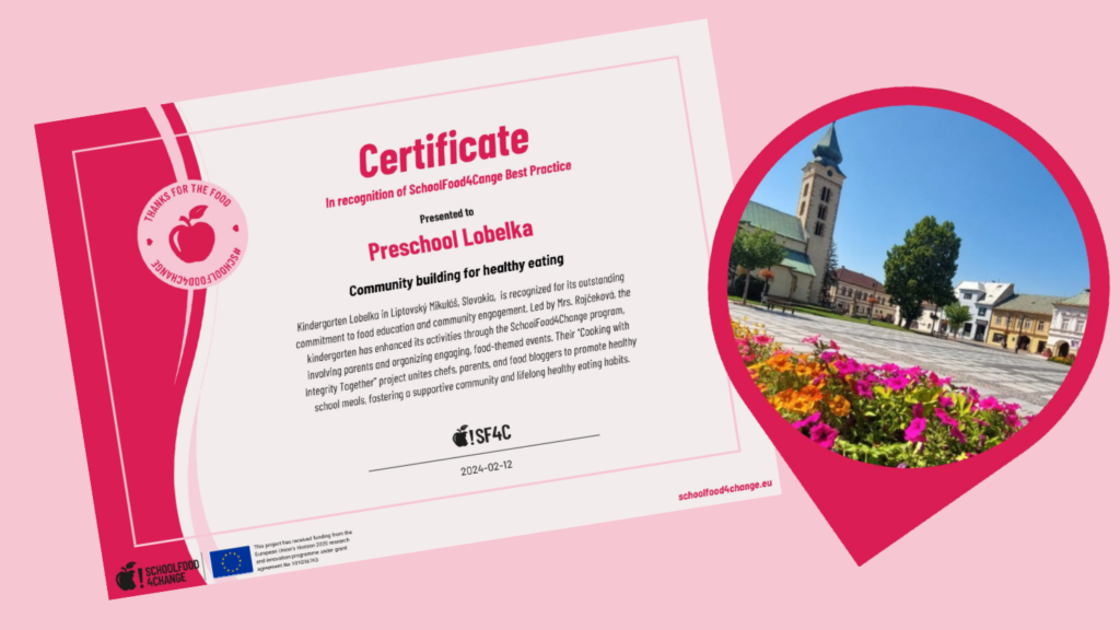 Innovative experiences and best practices explored: SF4C EU AWARD 