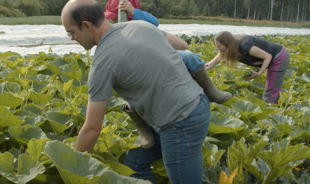 Vindeln Municipality inspires the SF4C Consortium