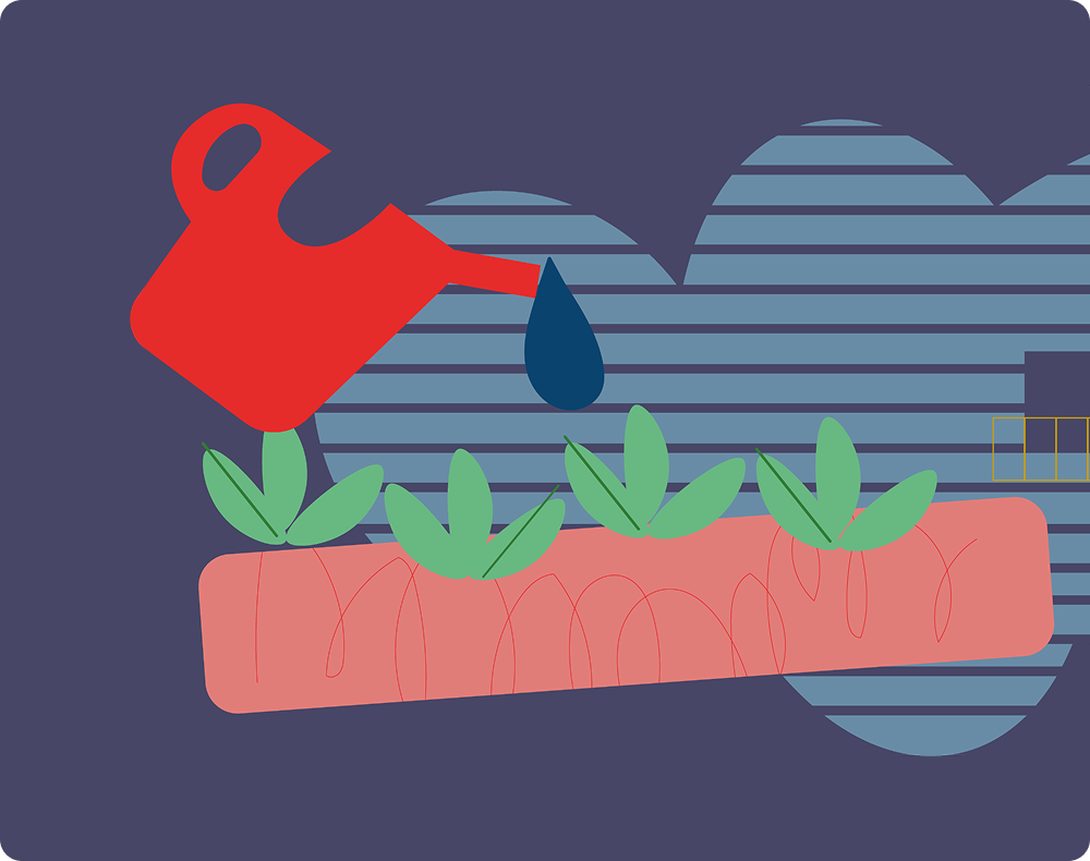 SCHOOL MEALS PROCUREMENT – Beyond the lunch tray: Building sustainable school food systems